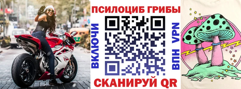 Псилоцибиновые грибы Psilocybe  где купить   Павловская 