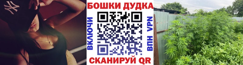 Канабис планчик Павловская